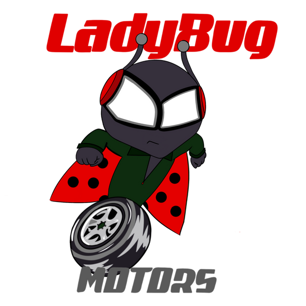 Ladybug Motors